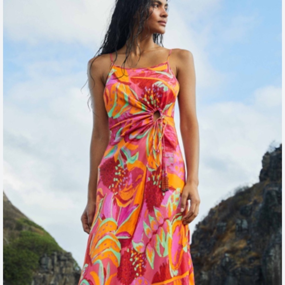 Farm Rio fruit brush dress size medium Preloved